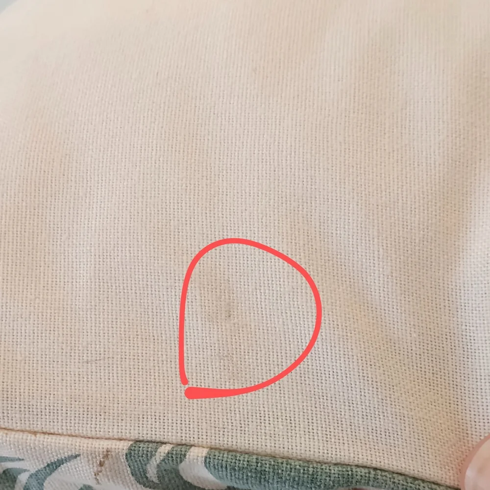Pottery Barn back pillow